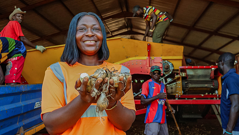 Unlocking Guinea&rsquo;s agriculture development: creating jobs for inclusive growth