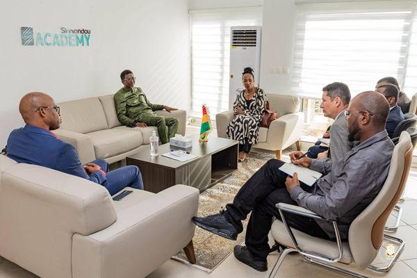 Guinea Advances Industrialization Through Expanded UNIDO Cooperation